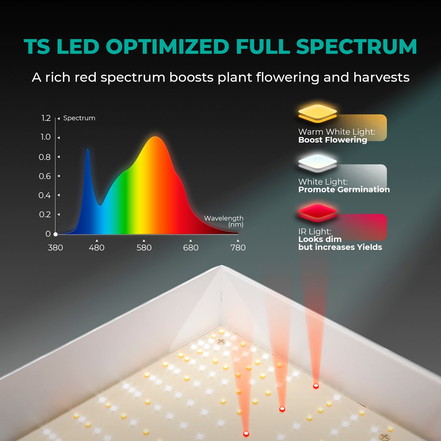 Mars Hydro TS 600 Complete Grow Tent Kit With Speed Controller