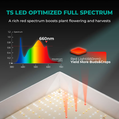 Mars Hydro TSL2000 Complete Grow Tent Kit With Speed Controller