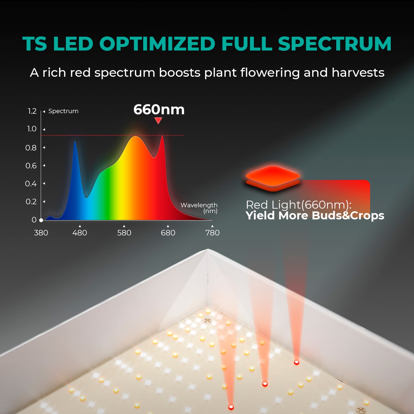 Mars Hydro TSW2000 Complete Grow Tent Kit With Speed Controller