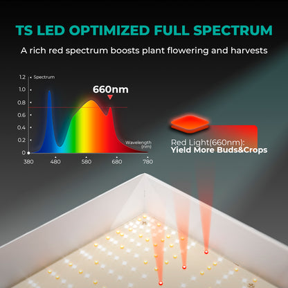 Mars Hydro TS 1000 Complete Grow Tent Kit With Speed Controller