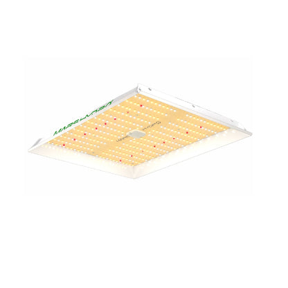 2024 Mars Hydro TS 1000 150W Full Spectrum Dimmable LED Grow Light